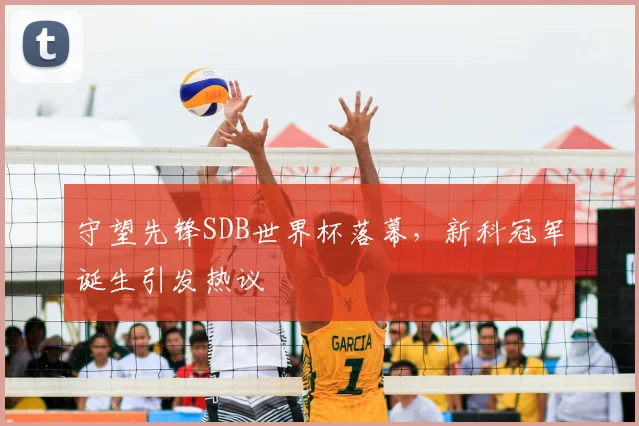 守望先锋SDB世界杯落幕,新科冠军诞生引发热议