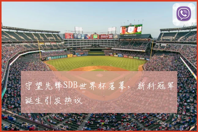 守望先锋SDB世界杯落幕,新科冠军诞生引发热议
