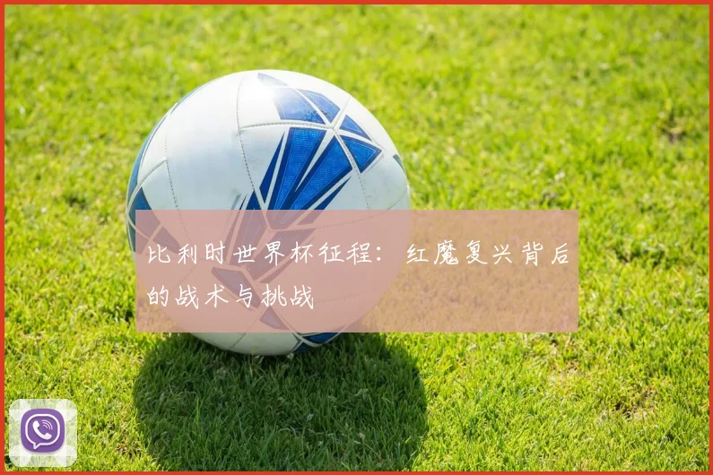比利时世界杯征程：红魔复兴背后的战术与挑战