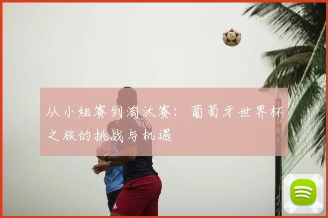 从小组赛到淘汰赛：葡萄牙世界杯之旅的挑战与机遇