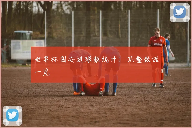 世界杯国安进球数统计:完整数据一览