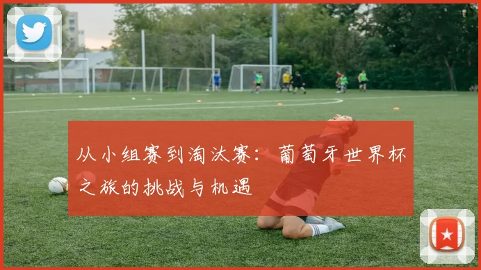 从小组赛到淘汰赛:葡萄牙世界杯之旅的挑战与机遇
