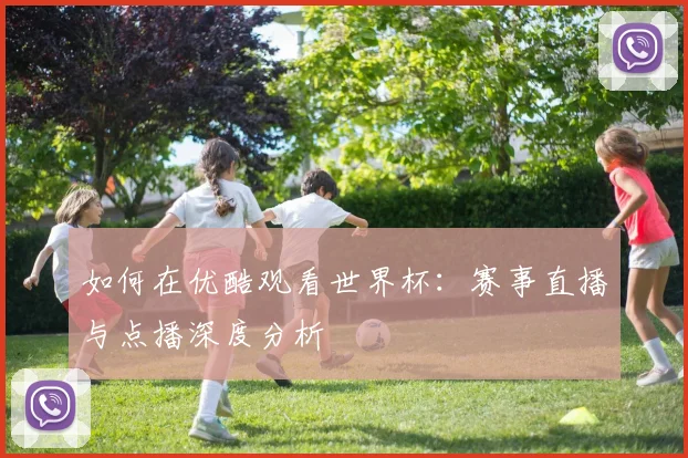 如何在优酷观看世界杯：赛事直播与点播深度分析